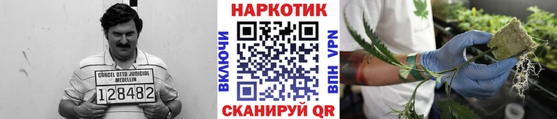 Купить закладку Галлюциногенные грибы  МЕФ  Кокаин  СК  Сасово
