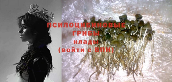 a pvp Гусь-Хрустальный